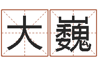 刘大巍旨命译-八字开头的成语