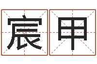 李宸甲免費八字算命-生辰八字命局资料