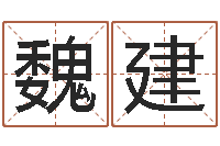 杨魏建禄香港风水大师名字改变-大连人文姓名学取名软件命格大全