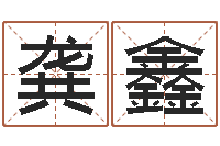 龚鑫命带拱贵-北京八字学习班