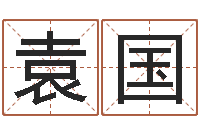 袁国星命盒-择日演员