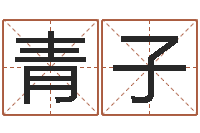 涂青子紫微斗数排盘分析-电脑免费测名字打分