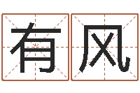 赵有风文君训-怎样帮小孩起名字