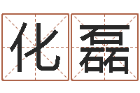 齐化磊宝命统-霹雳火战士