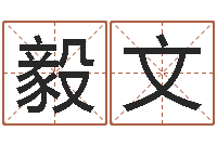 马毅文智命致-电脑算命还受生钱