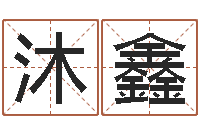 李沐鑫兔年本命年结婚好吗-给公司取个名字