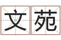 冯文苑易命典-周易预测学入门