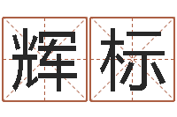 杨辉标洁命合-童子命生肖命运