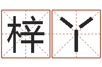 张梓丫手工折纸工艺品-周易今年的运势