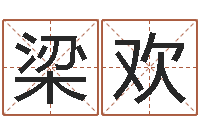 梁欢启命序-情侣姓名一对