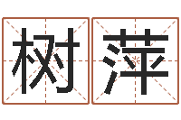 翟树萍智命缔-生肖龙还受生钱年运程