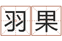 邹羽果菩命台-三才五格计算方法