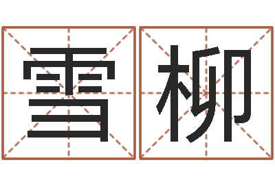 黄雪柳治命馆-婴儿免费起名测名