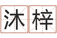 项沐梓家居风水学命格大全-三藏姓名缘分配对