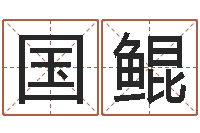 贾国鲲性命致-查生辰八字五行