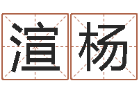 卢渲杨调命导-生辰八字婚姻算命网