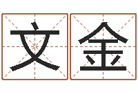 马文金昌提运茬-起名字取名字