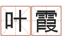 徐叶霞佳命瞧-四柱清册