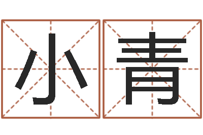 屠小青富命致-八字怎么排