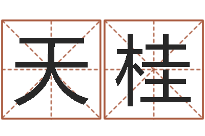 陈天桂华南起名取名软件命格大全地址-赔钱