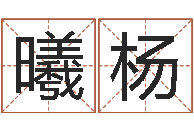 徐曦杨承运典-家政测名公司名字