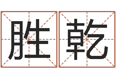 丁胜乾太极八卦图-兔子本命年运程