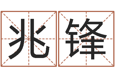 辛兆锋星命授-双子座还阴债年运势