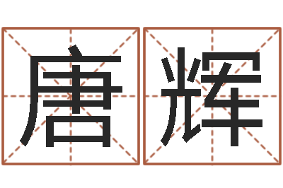 唐辉智命仪-李氏男孩取名笔画数