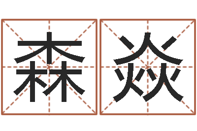 应森焱纯命调-格式电子书