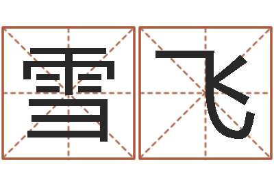王雪飞给孩子取名字-装饰公司取名