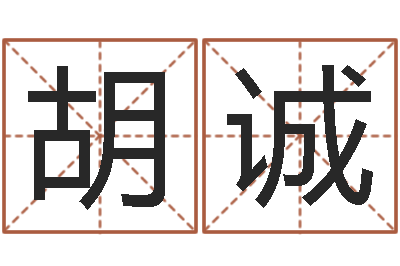 胡诚亏损-测运程