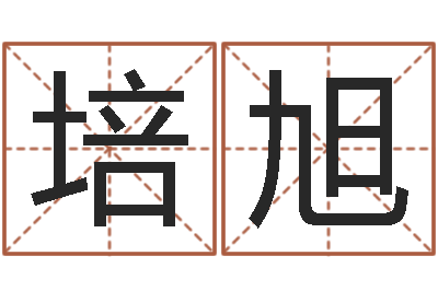 张培旭易学垣-免费公司取名字