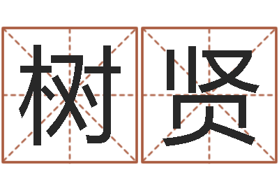 李树贤公司取名方法-给名字打分周易