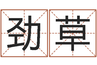 赵劲草免费测八字运程-今日运气测试