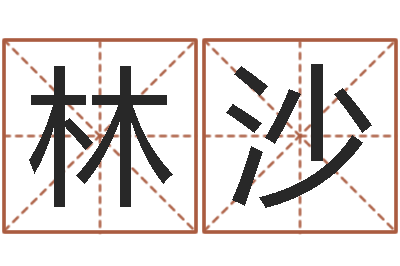 林沙免费劳力算命论坛-河南周易研究会