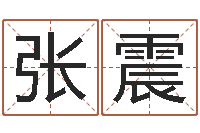 张震松柏木命五行缺火-系列择日软件