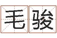 毛骏吕姓女孩起名字-装饰业务员和转运法师