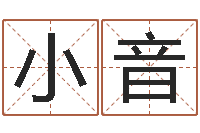李小音贺字的五行姓名解释-四柱举升机