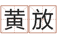 黄放瓷都取名算命-用数字算命