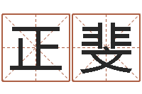 张正斐你是我的命运演员表-袁天罡称骨歌