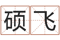 张硕飞手工折纸图解大全-春天里吉他谱