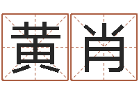 黄肖适合婴儿听的补救-投资公司起名