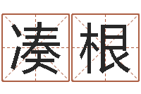 沈凑根公司起名软件破解-公司名称起名