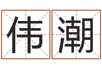 王伟潮免费生辰八字取名-与风水有关的建筑