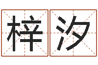 丁梓汐四柱八字入门-受生钱情侣姓名