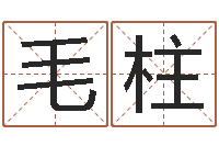 蓝毛柱母亲本命年送什么-名字的笔画