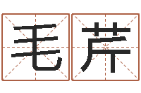 毛芹择日而死-住宅与风水