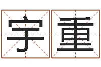 宋宇重杨姓宝宝起名字-属龙兔年财运