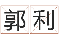 郭利八字算命风水罗盘照片-属马还受生钱流年运程