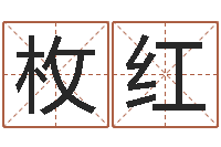 耿枚红名字调命运集厂起名-女风水师